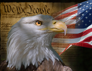 Government Services